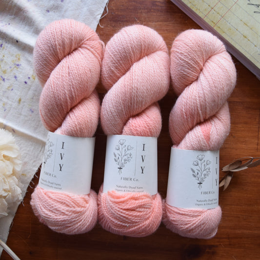 FALKLAND MERINO fingering - Coral Island