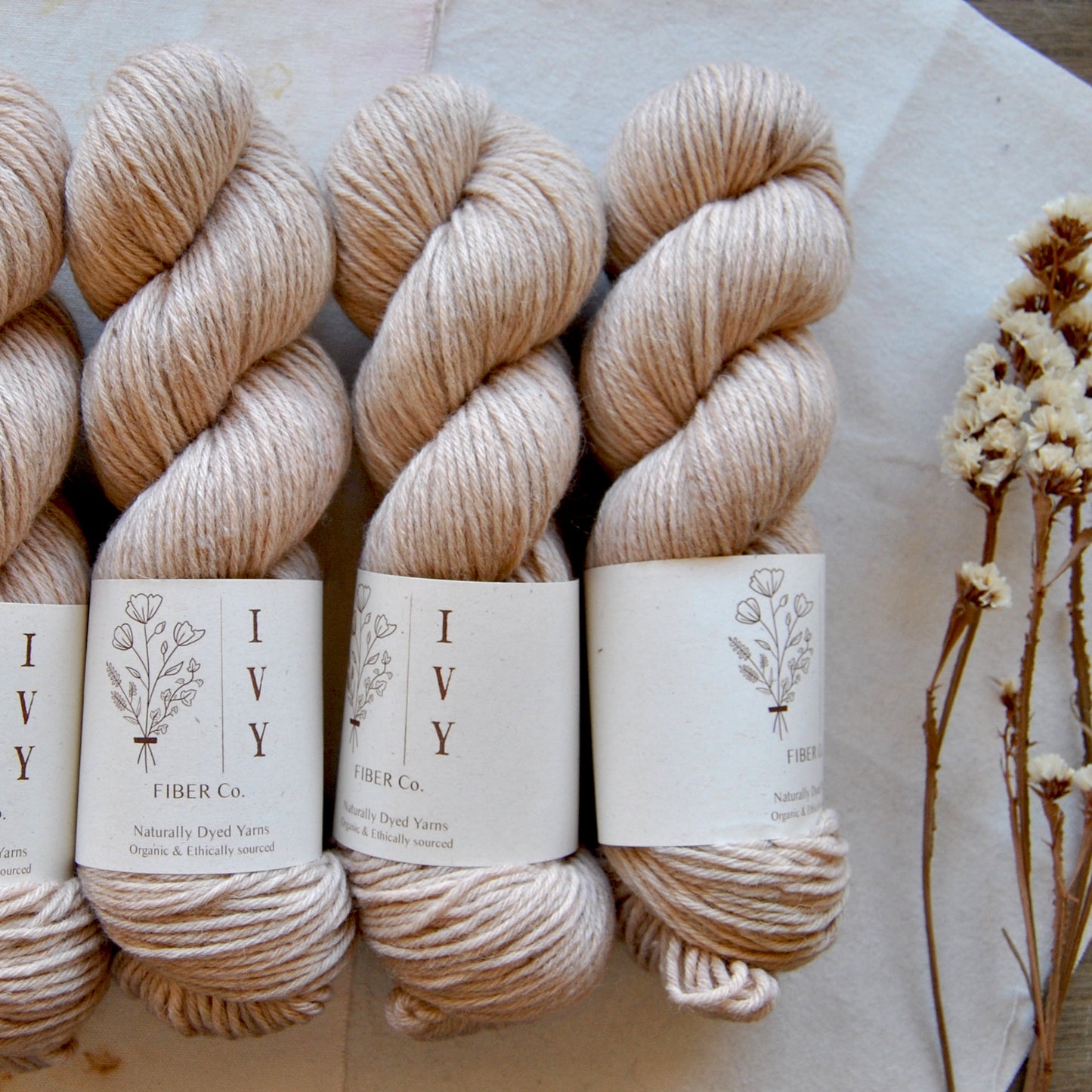 MEADOW DK - Rosewater
