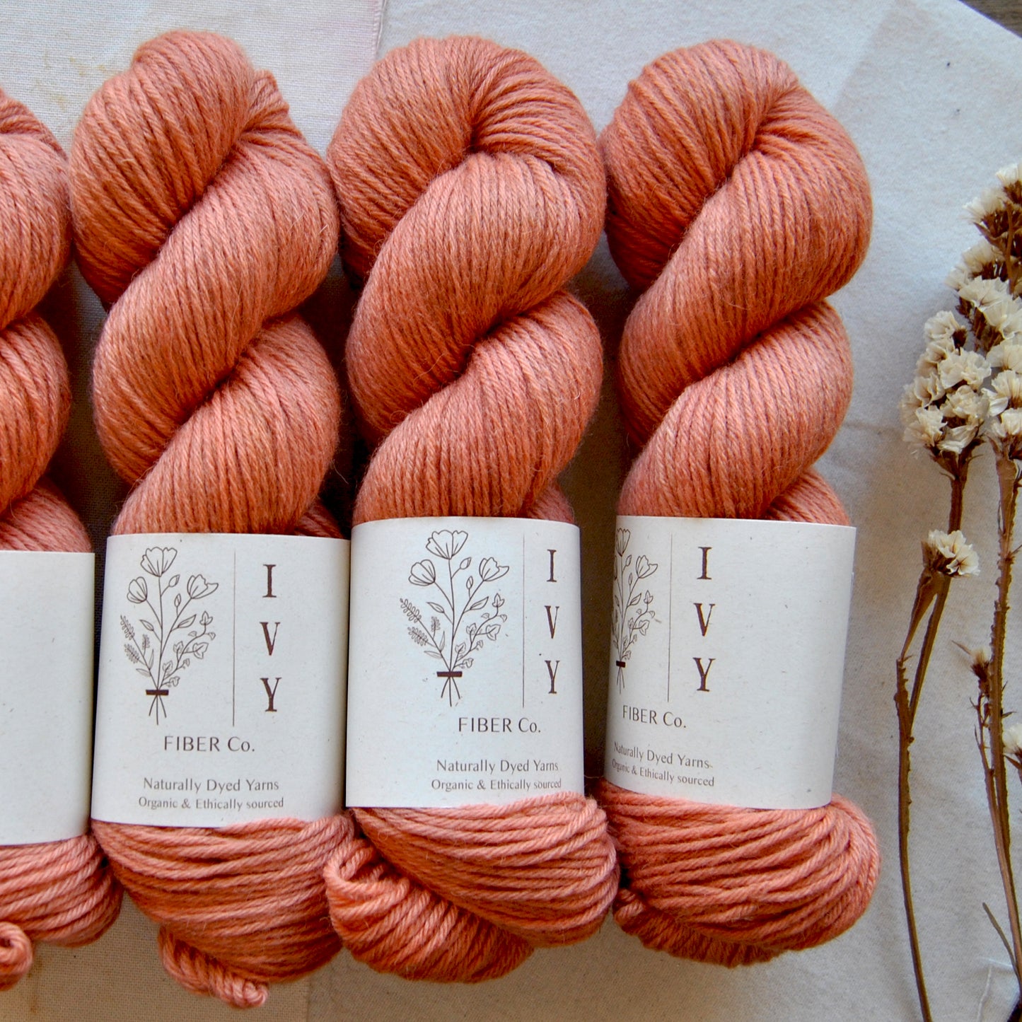 MEADOW DK - Papaya