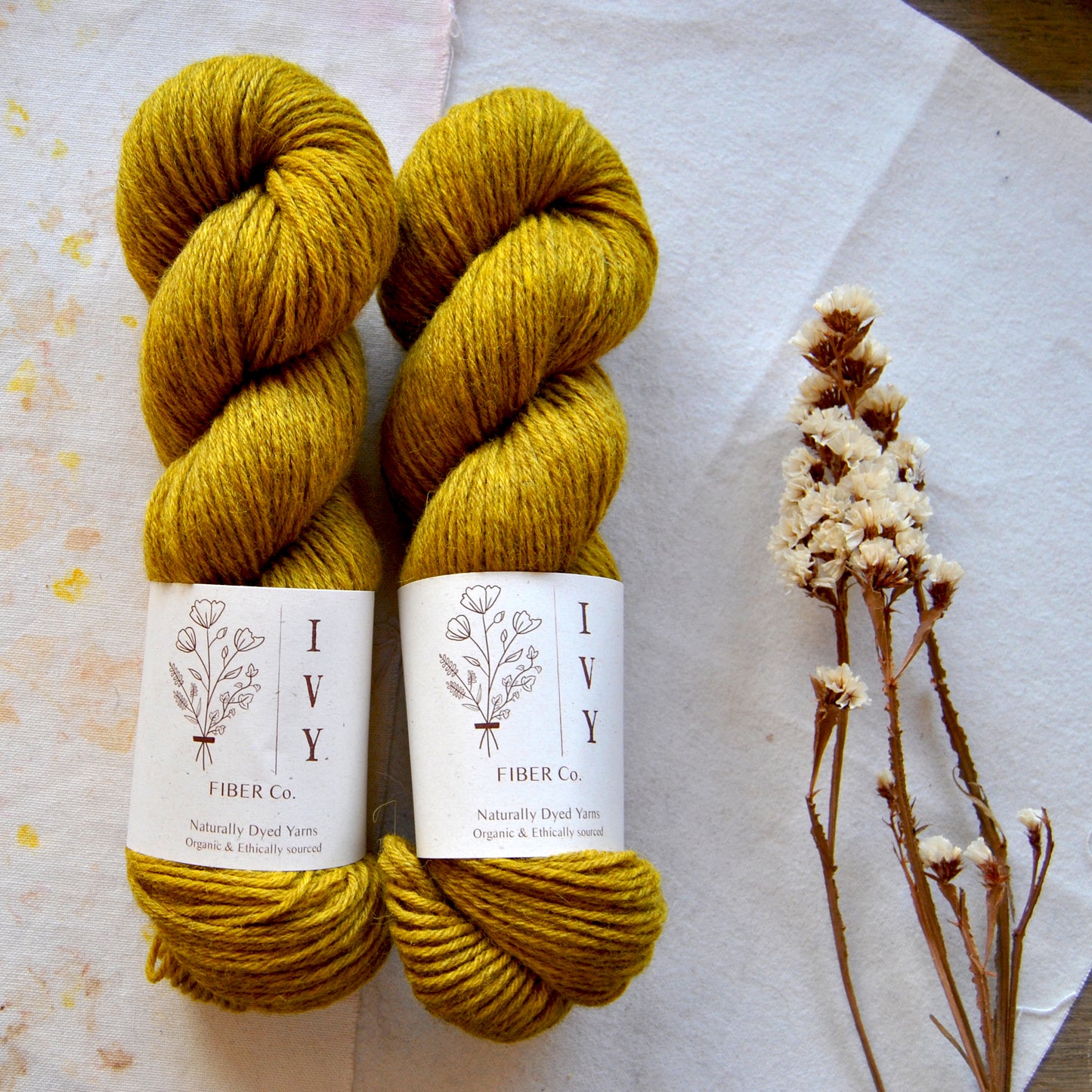 MEADOW DK - Lichen