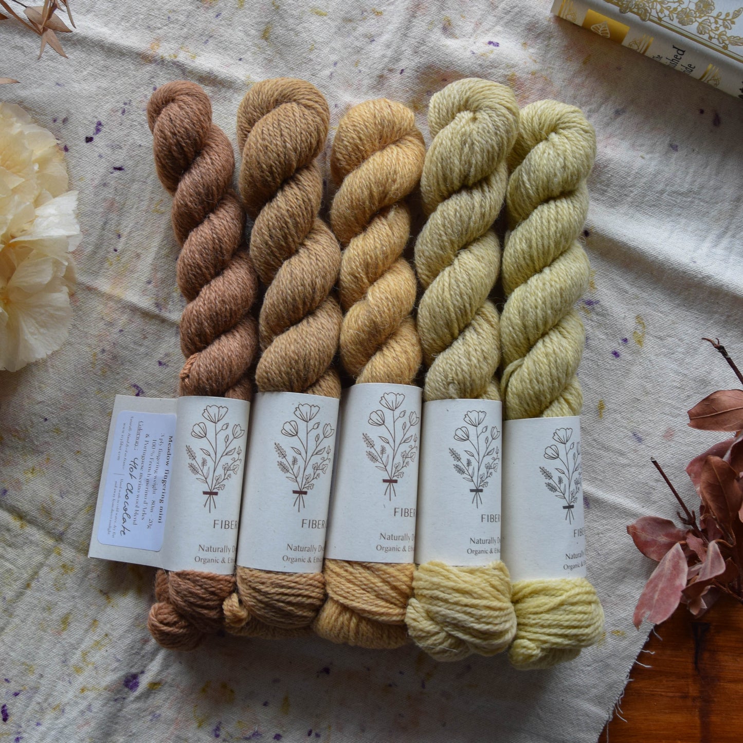 5 mini skeins fade Forager - MEADOW fingering