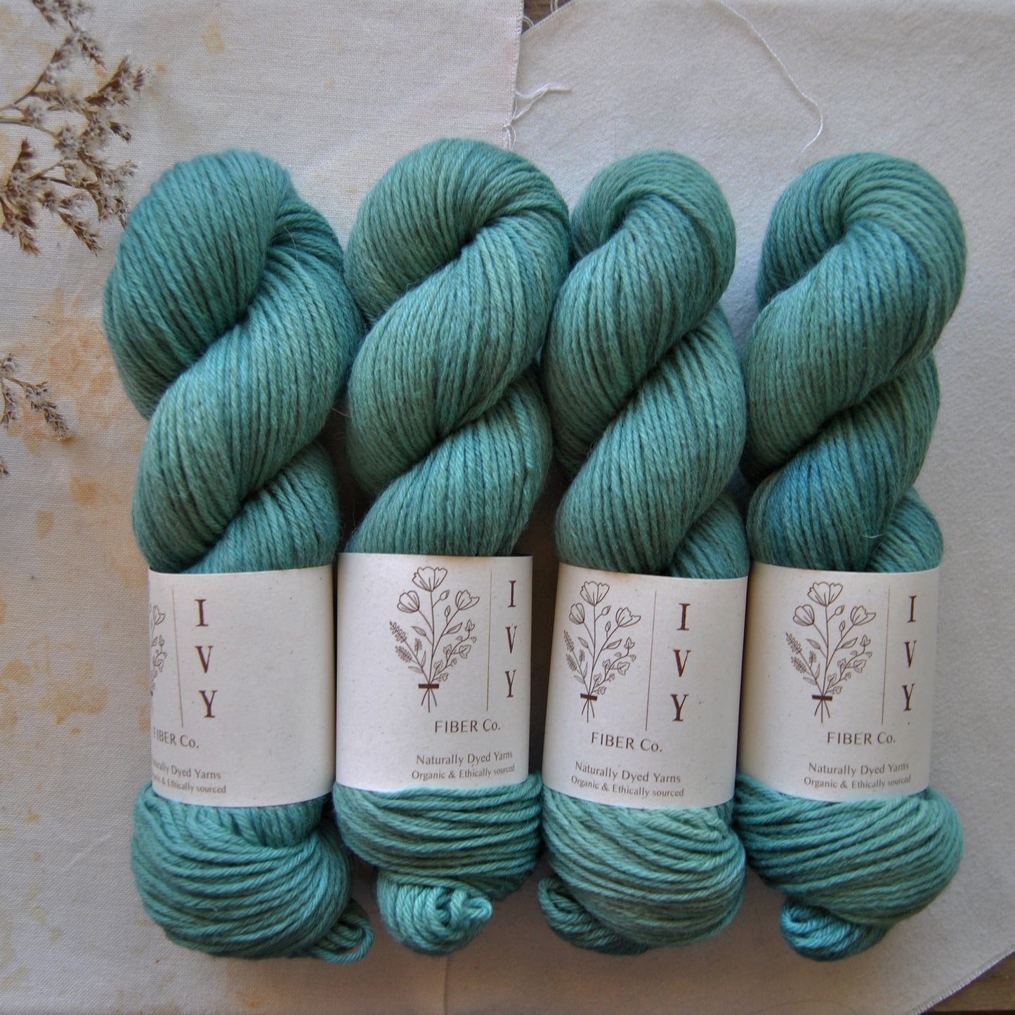 MEADOW DK - Forest