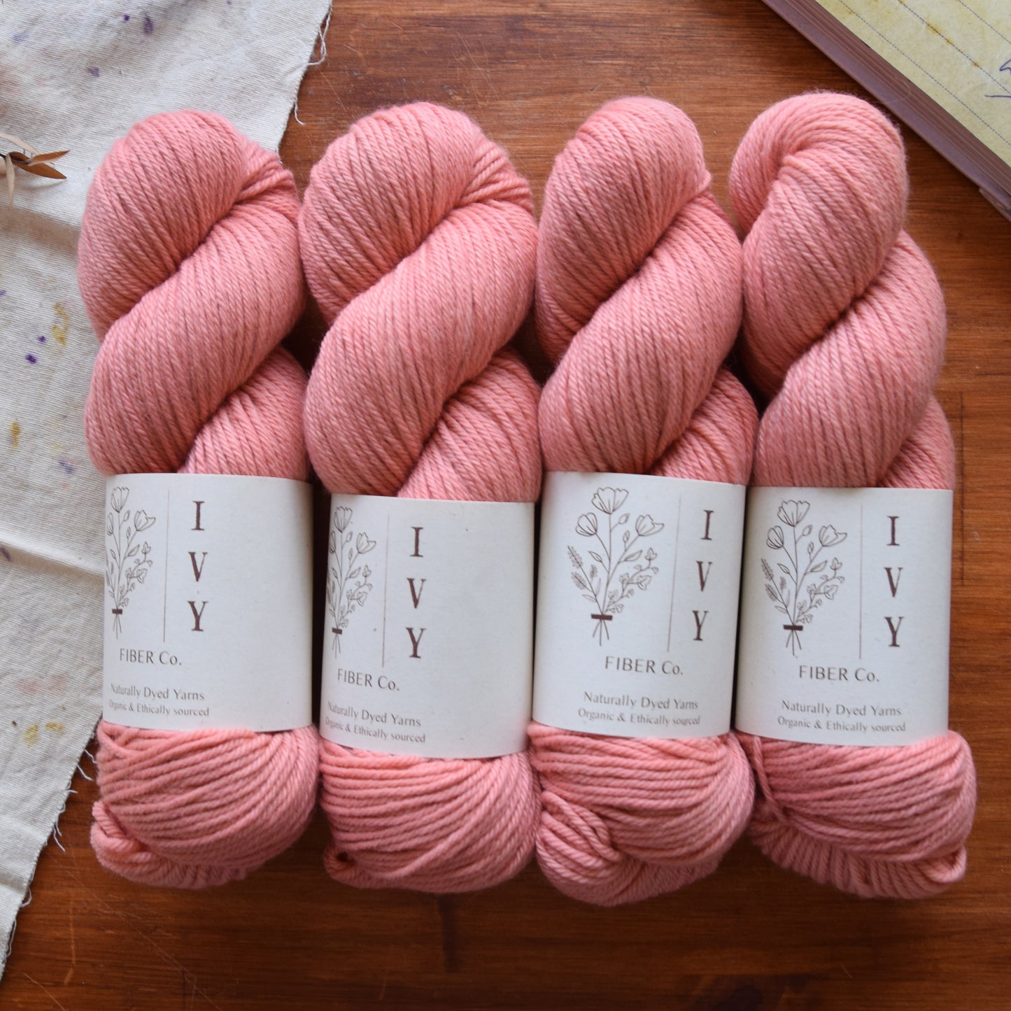 MOUNTAIN - Coral Batch 2