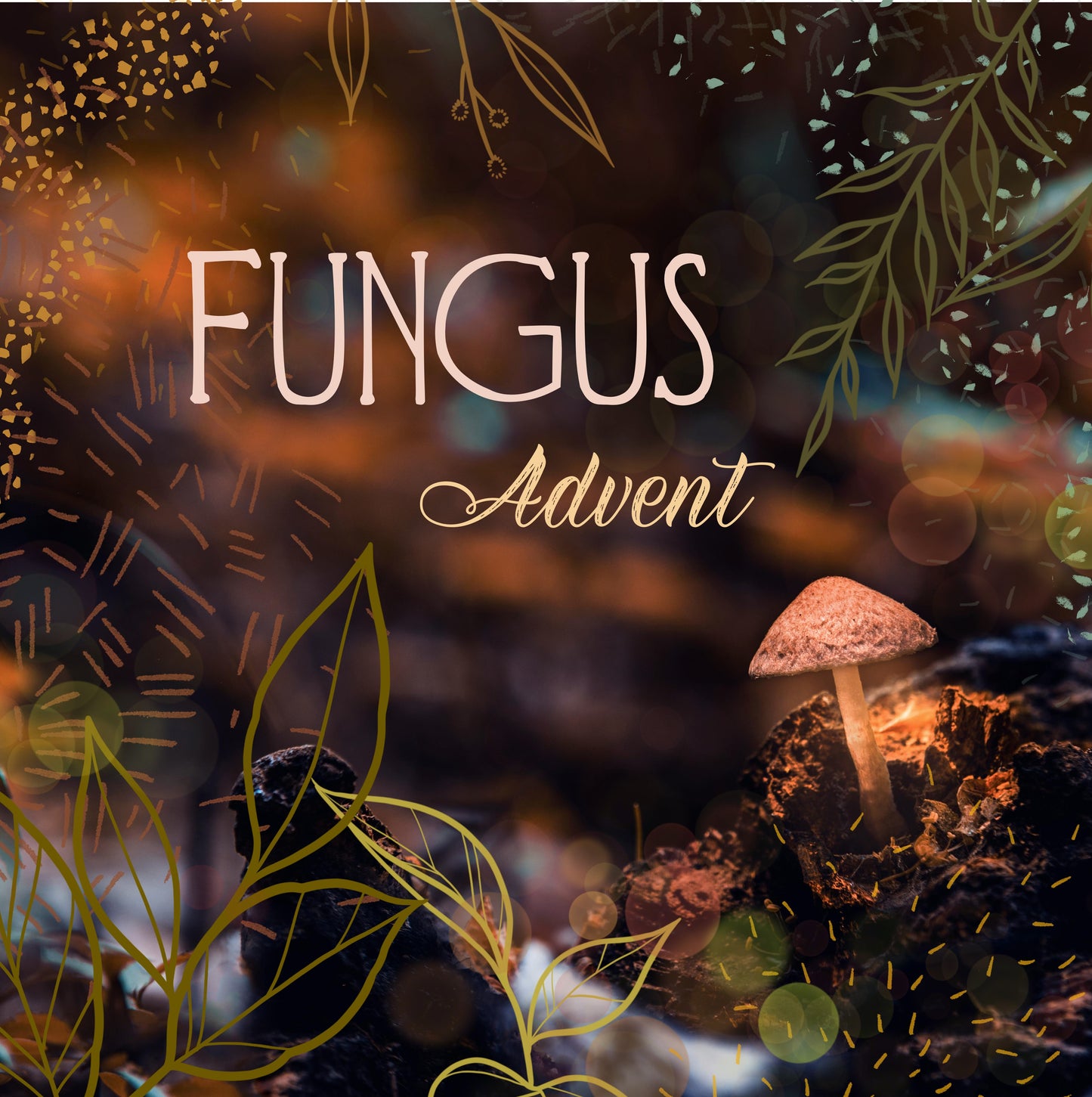 Calendrier de l'avent Fungus par Ivy Fiber Co.