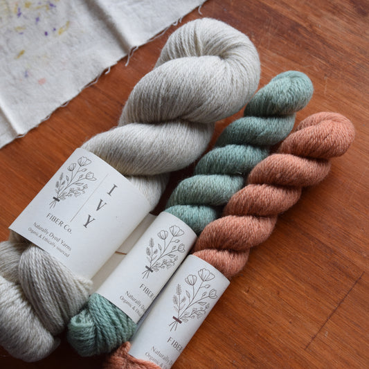 Sock set MEADOW fingering - Sand + Papaya and Ivy