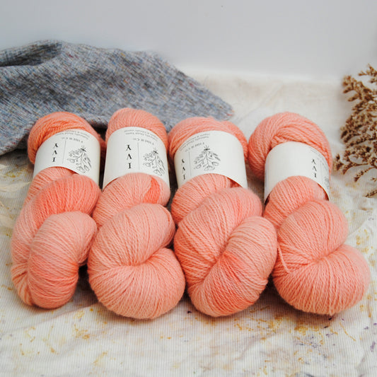 FALKLAND MERINO fingering - Coral Island