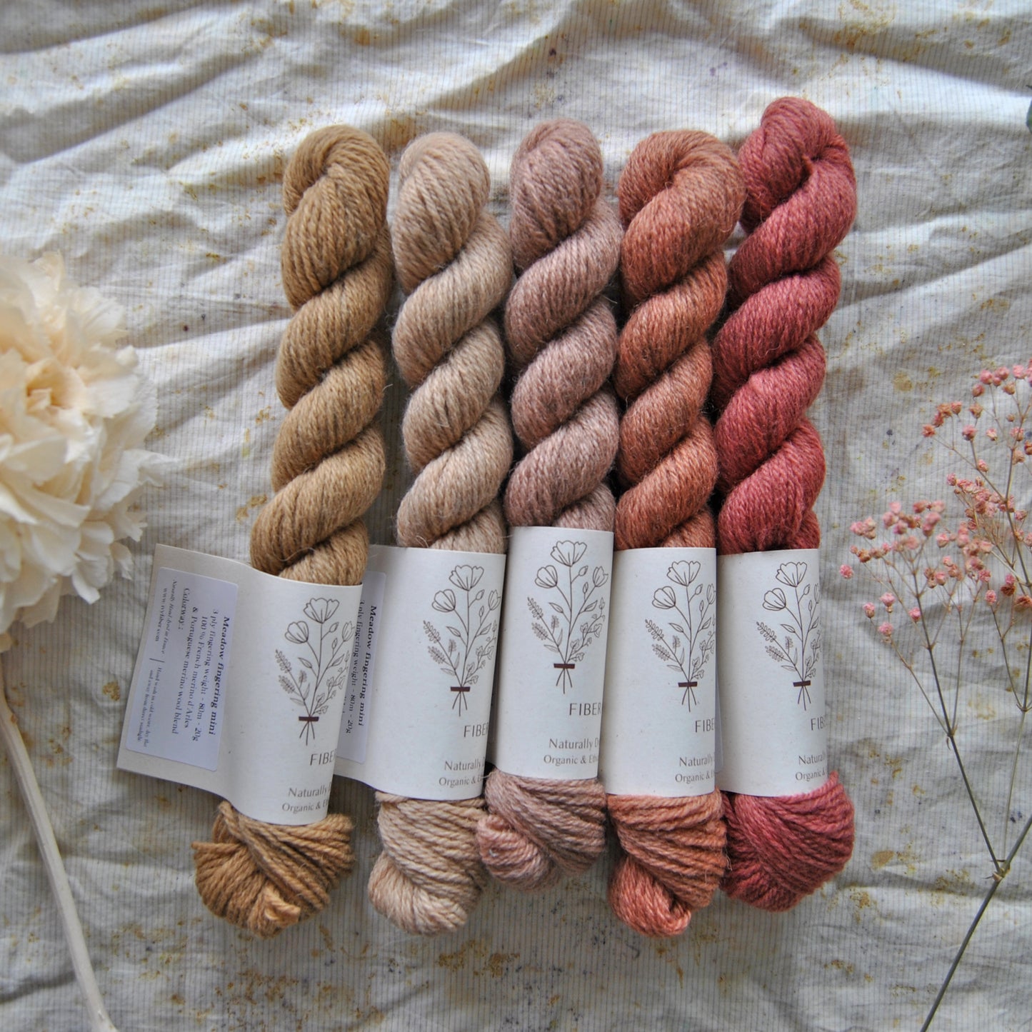 5 mini skeins fade Cherry picking - MEADOW fingering