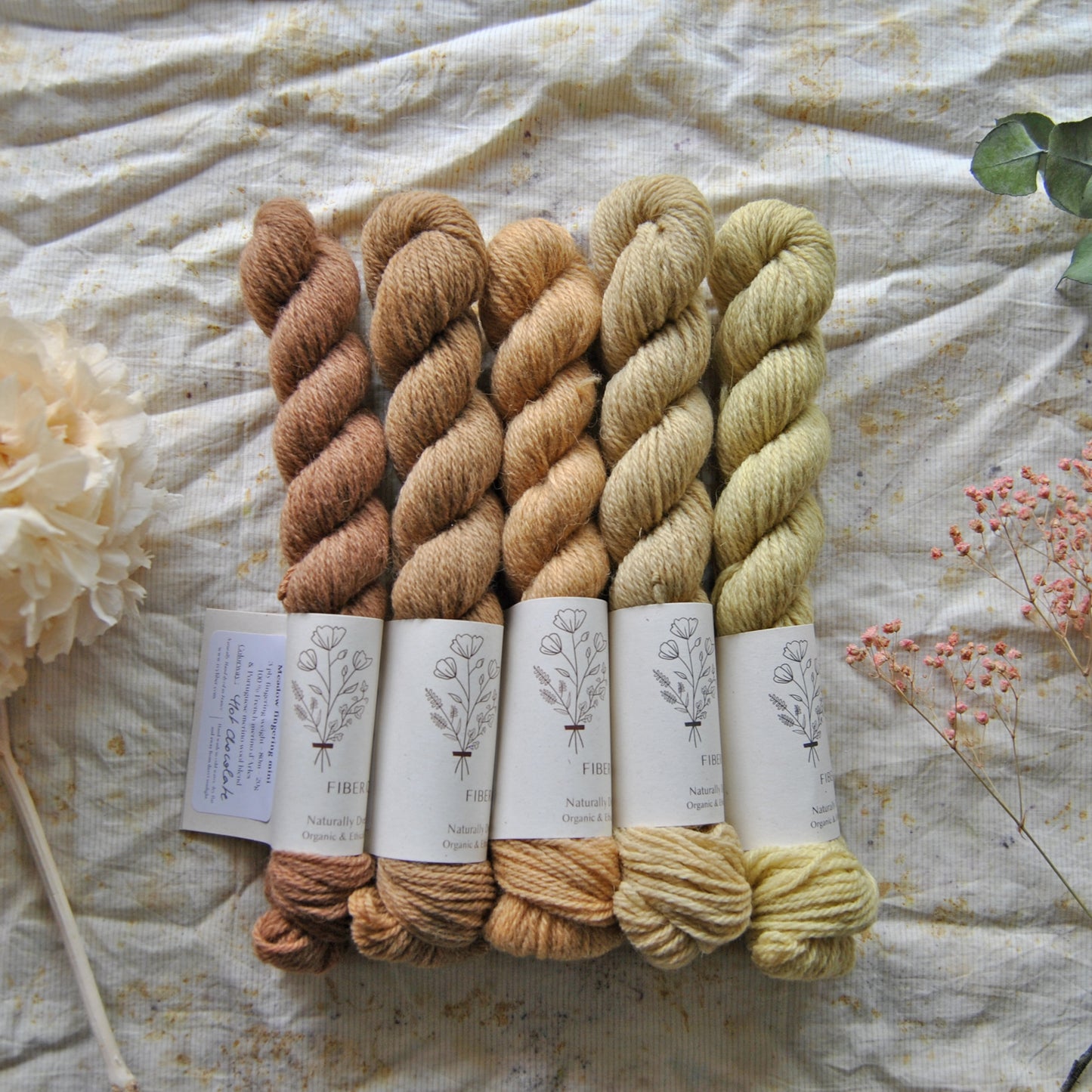 5 mini skeins fade Forager - MEADOW fingering