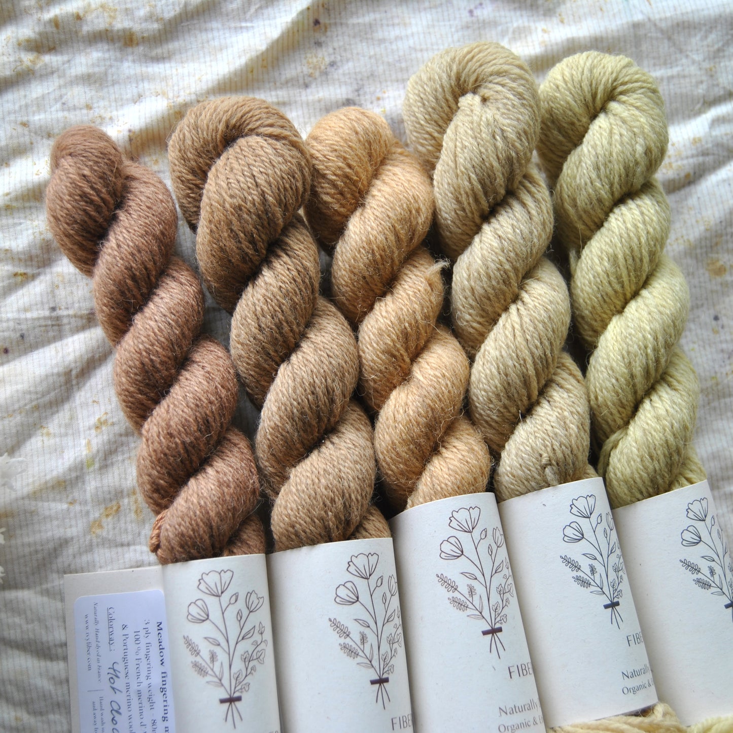 5 mini skeins fade Forager - MEADOW fingering