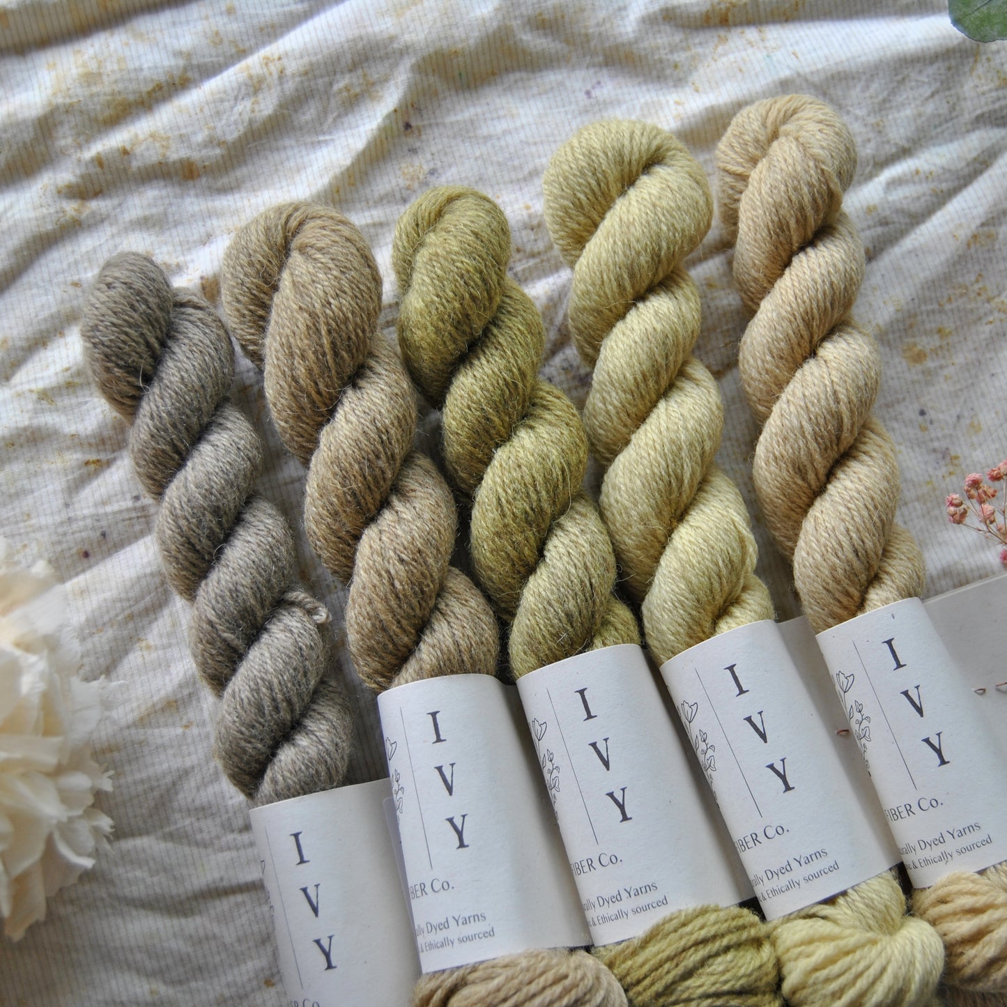 5 mini skeins fade Mossy tree - MEADOW fingering