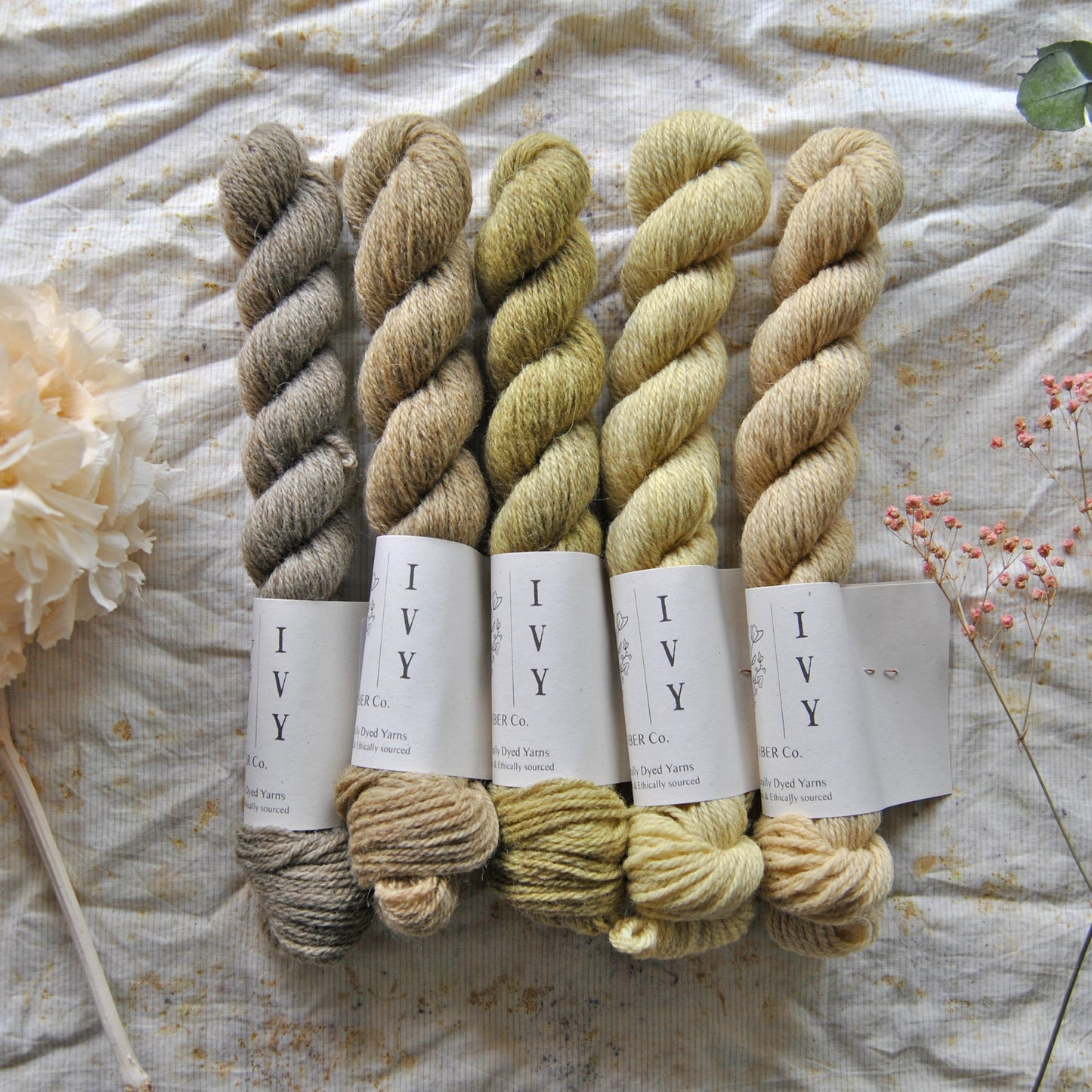 5 mini skeins fade Mossy tree - MEADOW fingering