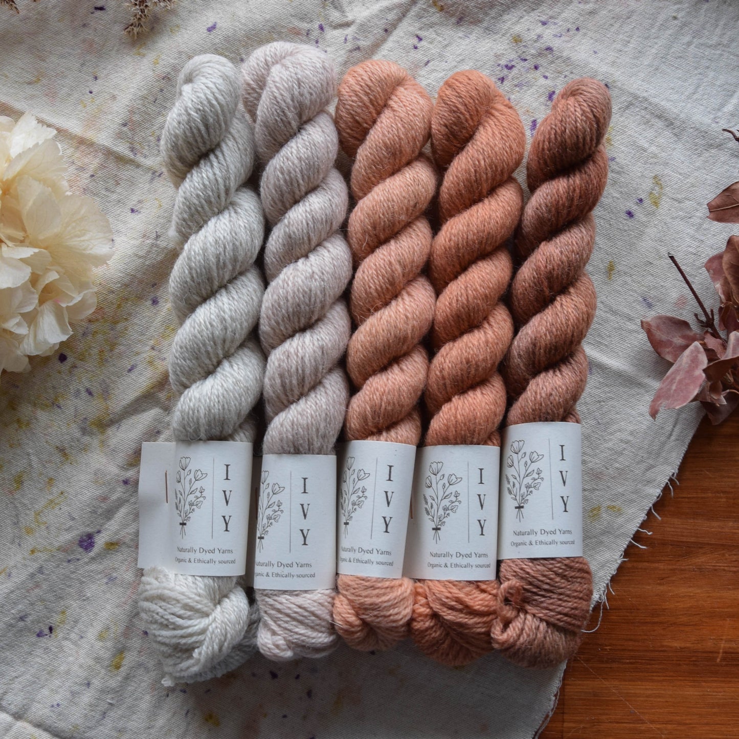 5 mini skeins fade Strawberry basket - MEADOW fingering