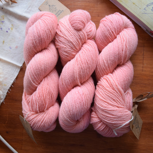 VALLEY - Coral